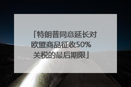 特朗普同意延长对欧盟商品征收50%关税的最后期限