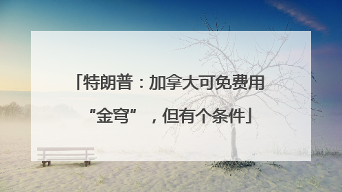 特朗普：加拿大可免费用“金穹”，但有个条件
