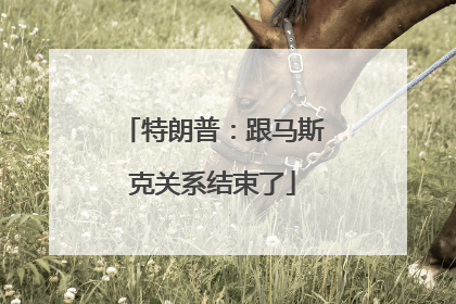 特朗普：跟马斯克关系结束了