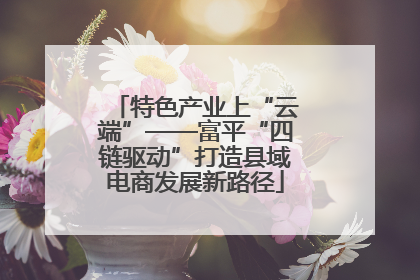特色产业上“云端”——富平“四链驱动”打造县域电商发展新路径