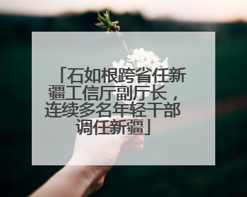 石如根跨省任新疆工信厅副厅长，连续多名年轻干部调任新疆