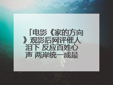 电影《家的方向》观影后网评催人泪下 反应百姓心声 两岸统一成最强音！