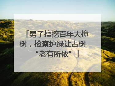 男子擅挖百年大樟树，检察护绿让古树“老有所依”