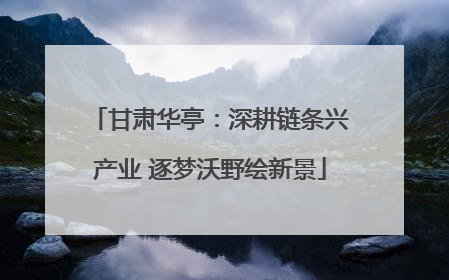 甘肃华亭：深耕链条兴产业 逐梦沃野绘新景