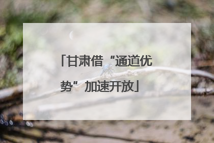甘肃借“通道优势”加速开放