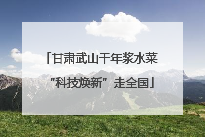 甘肃武山千年浆水菜“科技焕新”走全国