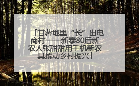 甘薯地里“长”出电商村——新泰80后新农人张甜甜用手机新农具撬动乡村振兴