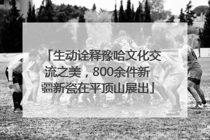 生动诠释豫哈文化交流之美，800余件新疆新瓷在平顶山展出