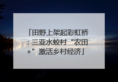 田野上架起彩虹桥：三亚水蛟村“农田+”激活乡村经济