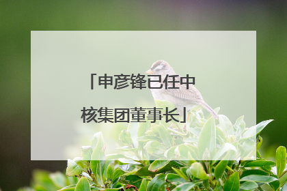 申彦锋已任中核集团董事长