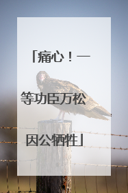 痛心！一等功臣万松因公牺牲