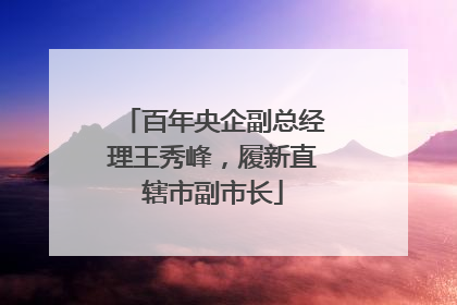 百年央企副总经理王秀峰，履新直辖市副市长