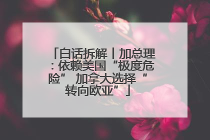 白话拆解丨加总理：依赖美国“极度危险” 加拿大选择“转向欧亚”