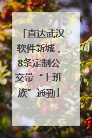 直达武汉软件新城，8条定制公交带“上班族”通勤