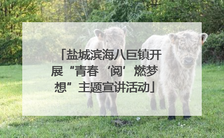 盐城滨海八巨镇开展“青春‘阅’燃梦想”主题宣讲活动