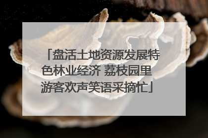 盘活土地资源发展特色林业经济 荔枝园里游客欢声笑语采摘忙