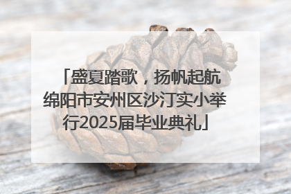 盛夏踏歌，扬帆起航 绵阳市安州区沙汀实小举行2025届毕业典礼