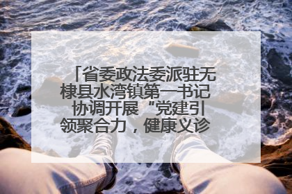 省委政法委派驻无棣县水湾镇第一书记 协调开展“党建引领聚合力，健康义诊惠乡亲”义诊活动