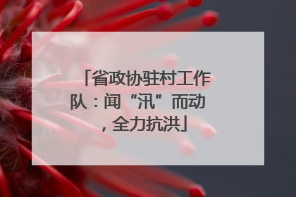 省政协驻村工作队：闻“汛”而动，全力抗洪