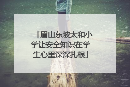 眉山东坡太和小学让安全知识在学生心里深深扎根