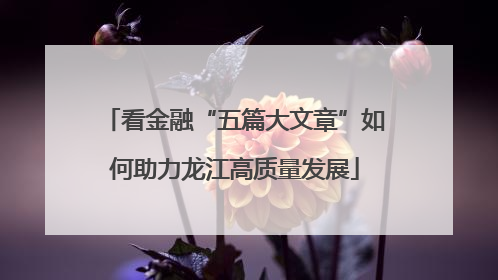 看金融“五篇大文章”如何助力龙江高质量发展