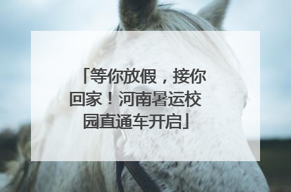 等你放假，接你回家！河南暑运校园直通车开启