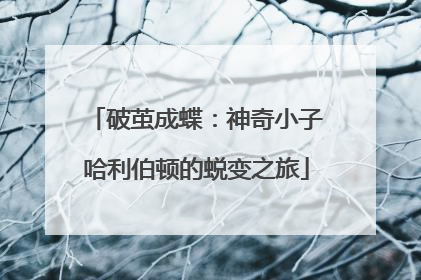 破茧成蝶：神奇小子哈利伯顿的蜕变之旅