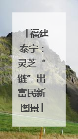福建泰宁：灵芝“链”出富民新图景