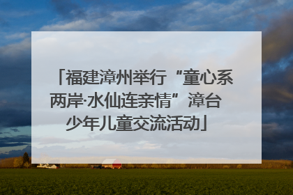 福建漳州举行“童心系两岸·水仙连亲情”漳台少年儿童交流活动