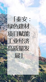 秦安：绿色建材项目赋能工业经济高质量发展