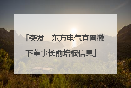 突发｜东方电气官网撤下董事长俞培根信息