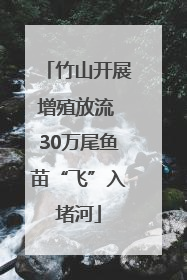 竹山开展增殖放流 30万尾鱼苗“飞”入堵河