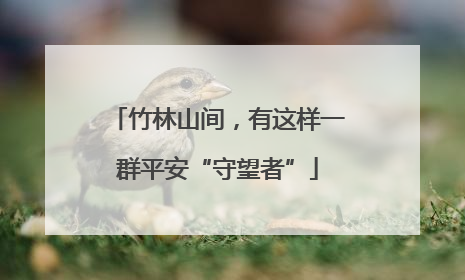 竹林山间，有这样一群平安“守望者”