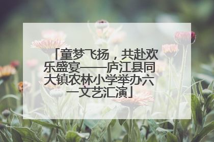 童梦飞扬，共赴欢乐盛宴——庐江县同大镇农林小学举办六一文艺汇演
