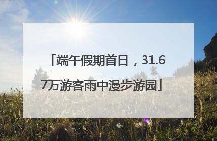 端午假期首日，31.67万游客雨中漫步游园