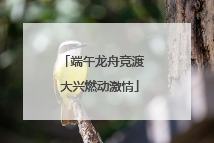 端午龙舟竞渡 大兴燃动激情