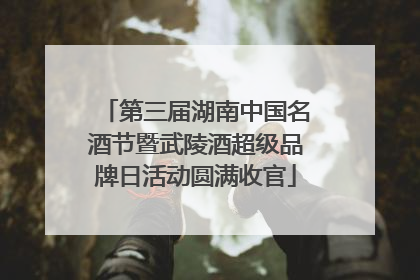 第三届湖南中国名酒节暨武陵酒超级品牌日活动圆满收官