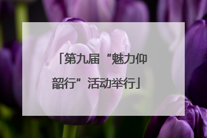 第九届“魅力仰韶行”活动举行