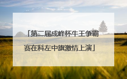 第二届成峰杯牛王争霸赛在科左中旗激情上演
