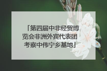 第四届中非经贸博览会非洲外宾代表团考察中伟宁乡基地