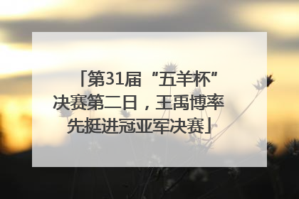 第31届“五羊杯”决赛第二日，王禹博率先挺进冠亚军决赛