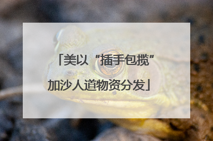美以“插手包揽”加沙人道物资分发