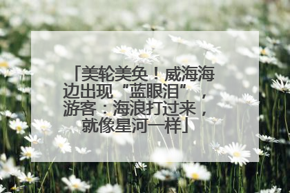 美轮美奂！威海海边出现“蓝眼泪”，游客：海浪打过来，就像星河一样