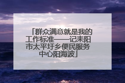 群众满意就是我的工作标准——记耒阳市太平圩乡便民服务中心阳海波