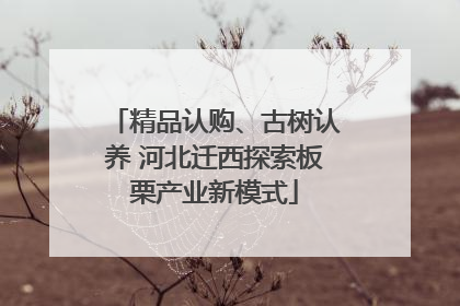 精品认购、古树认养 河北迁西探索板栗产业新模式