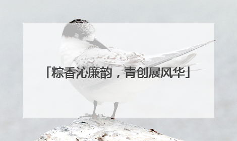 粽香沁廉韵，青创展风华