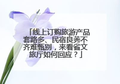 线上订购旅游产品套路多、民宿良莠不齐难甄别，来看省文旅厅如何回应？