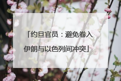 约旦官员：避免卷入伊朗与以色列间冲突