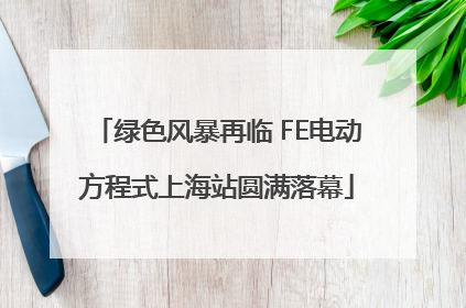 绿色风暴再临 FE电动方程式上海站圆满落幕