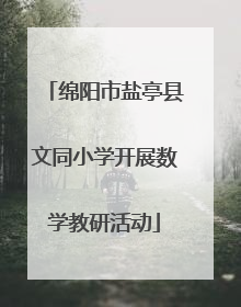 绵阳市盐亭县文同小学开展数学教研活动